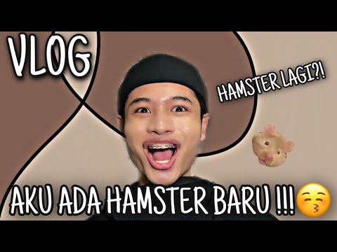 VLOG | AKU ADA HAMSTER BARU‼️🥴