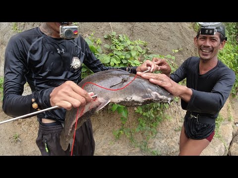SE03EP061 - The RIVER MONSTER - MALA PALOS ang LAKI ng HITO ( Catch Clean Cook ) Ayusan Dam