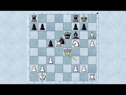 Neverovatni mat - MILMAN vs FANG - Najlepše šahovske partije Milmana - Caro-Kann # 1043