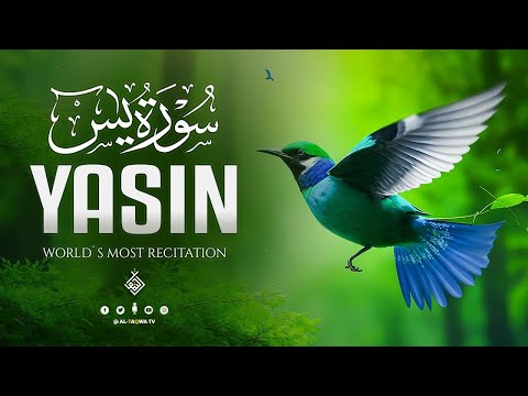 Surah Yasin (Yaseen) سورة يس | BEAUTIFUL VOICE THAT WILL SOOTHE YOUR SOUL | Al-Taqwa TV