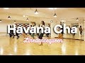Havana Cha Line Dance (Ria Vos) High Beginner Demo & Count