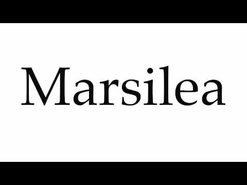 How to Pronounce Marsilea
