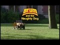 BRUM And The Naughty Dog 03x02