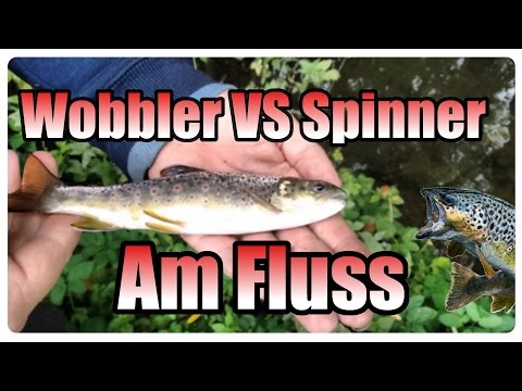 Wobbler VS Spinner | Am Fluss