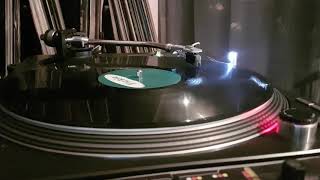Prannksterz - Different Story - Fickle Records