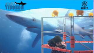 DIA 3 Expo Tiburon27