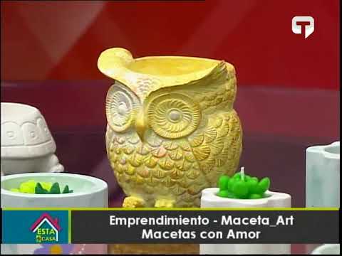 Emprendimiento Maceta_Art: Macetas con Amor