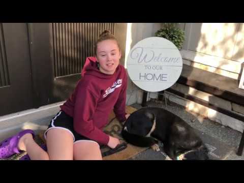 2021 Nola Mountain MI/OF Triple Threat Athlete