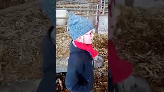 Elise en pleine analyse du "Cheptel"