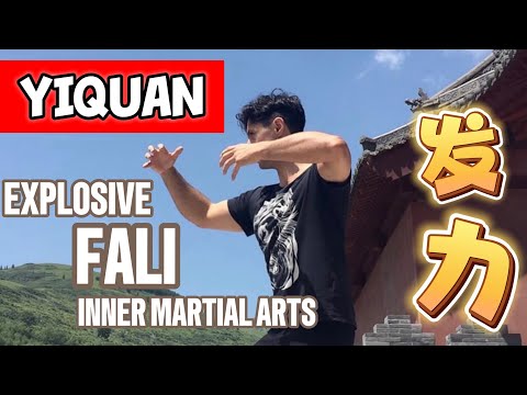 Fali-the Hidden Power: Unveiling the Wonders of the Human Nervous System and Brain