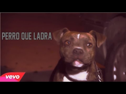 Perro Que Ladra-THE PRM Ft Mer One [Video Oficial]
