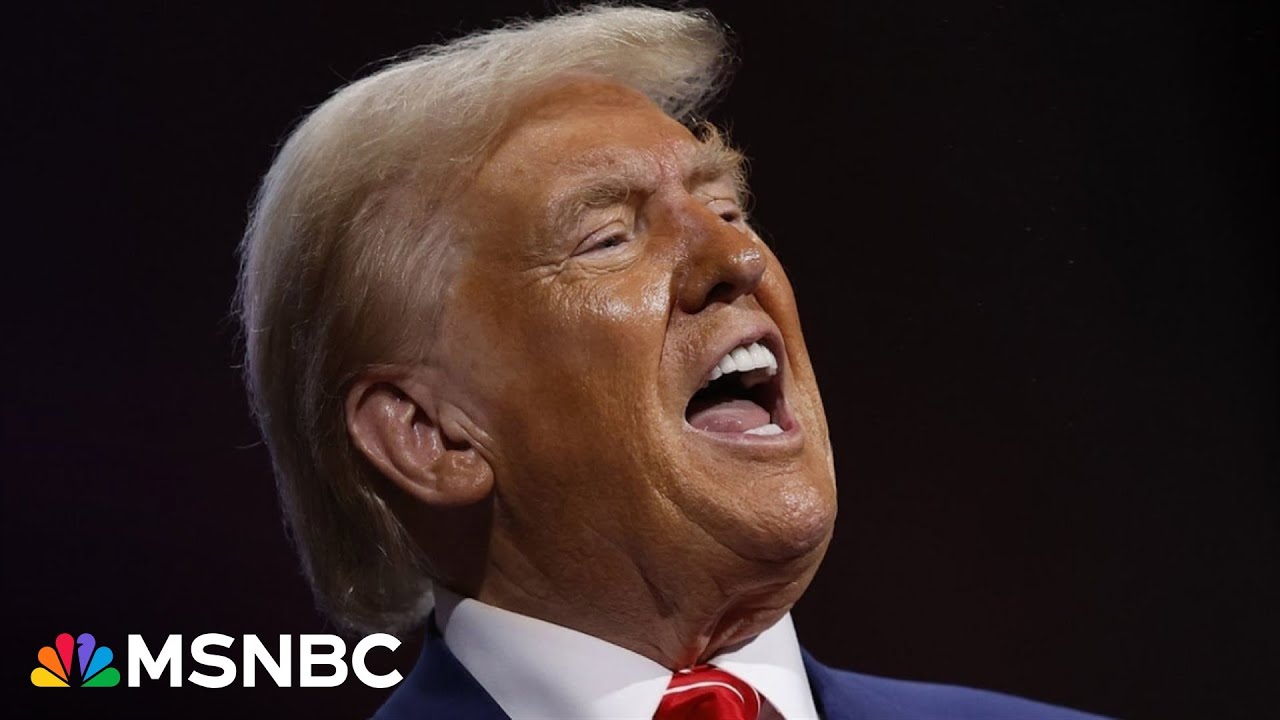 'Donald Trump is the architect of' the reproductive rights 'crisis': EMILYs List President