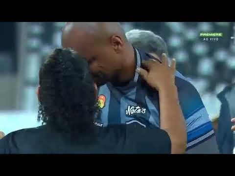 Botafogo 2 x 1 Paraná - Melhores Momentos e Gols - Brasileirão 2019