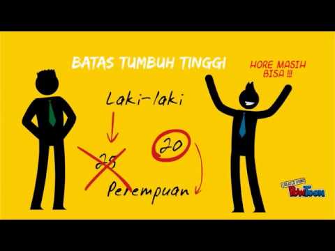 Aphrodisiacs bagi perempuan untuk membeli di Minsk Tingtur kacang cedar untuk potensi