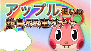 【あつ森】マイル旅行券で離島55連ガチャした結果!!※アップル狙い