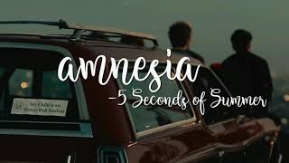5 Seconds of Summer- Amnesia (Lyric Video)