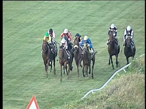 Galoppo 03/07/2019 - 5ª corsa