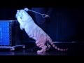 Dirk Arthur America S Foremost Animal Illusionist