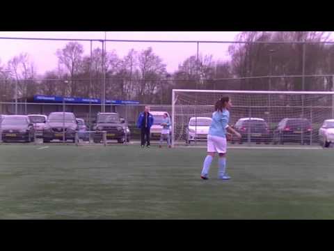 Samenvatting Hermes DVS E3  -  VFC E8