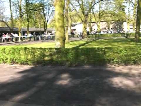 Galopprennbahn Hoppegarten 12.04.2009 - Am Führring