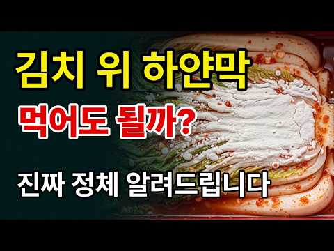 김치 위 하얀막 의 정체! 먹어도 될까? 이것만 확인하세요