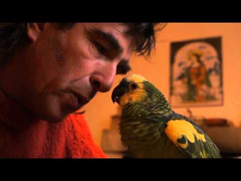 Unbelievable breakfast with my parrot !!! Happy drivers Gueule de loup Singer Having fun ! Video