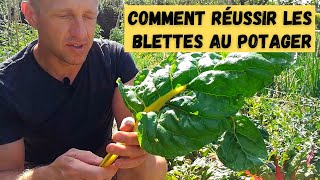 Click here to play the video