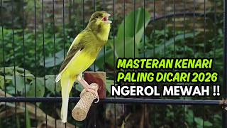 Download lagu Pancingan Kenari Jitu Cepat Respon! Bunyi Suara Kenari Gacor Jernih & Stabil Ngeroll Panjang! mp3 Download lagu Pancingan Kenari Jitu Cepat Respon! Bunyi Suara Kenari Gacor Jernih & Stabil Ngeroll Panjang! mp3