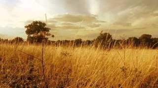 Split Your Infinities - BoC