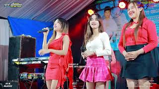 Download lagu FULL ALBUM NEW SHAHARA - KHITANAN ANDHITO ARGA S. - LEBUAWU PECANGAAN JEPARA mp3