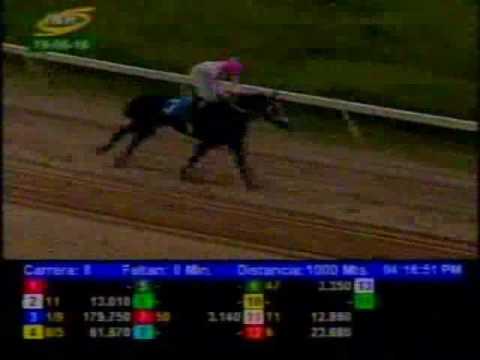 Resumen Viernes, 19 de Agosto de 2016 - Valencia