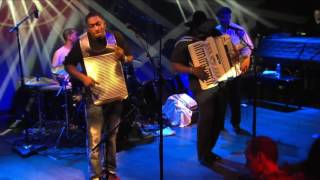 Nathan Williams & The Zydeco Cha Chas - Whole Lotta Shaking