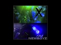 New Boyz - FM$ ( produced by Legacy )