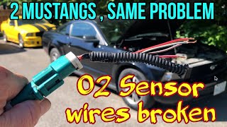 05' -09' Mustang O2 Sensor Codes and Wiring Harness Location ...Two cars with the same Problem .