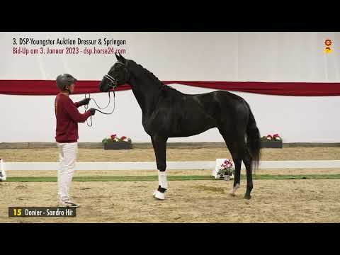 Lot 15 Donier / Sandro Hit / Canaster I