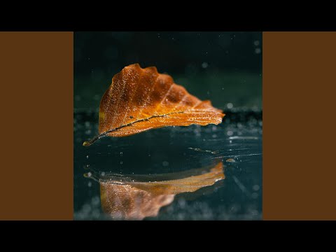 The Lorbank Collective - Made Of Clay - Misc Originals