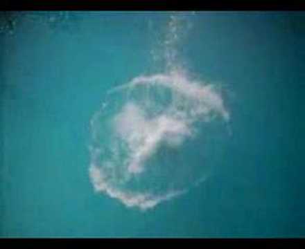 ABLK Niedersachsen 2007