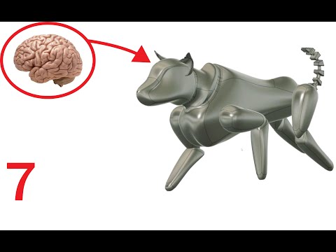 RoboDog Part 7 | How to Make Your Own OS (1 of 3)