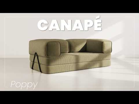 Miniature de la vidéo YouTube