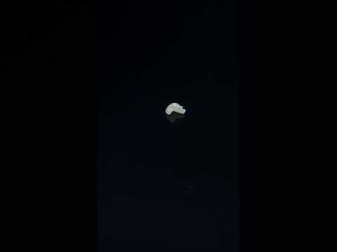 YouTube 썸네일