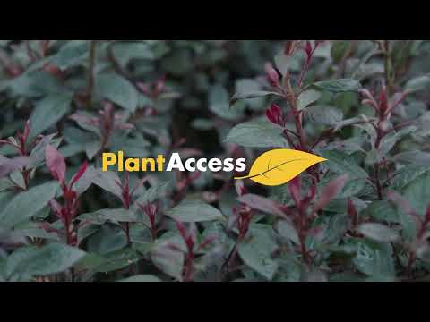 Plant Access  - Promotional Product Video
