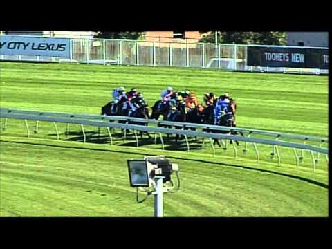 2008 - Sires' Produce Stakes - Sebring