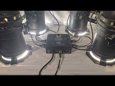 Elation DP-415 4-Channel DMX Dimmer Switch | Reverb