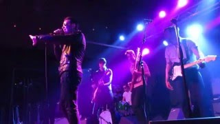 Jeremy and The Harlequins   " No One Cares"