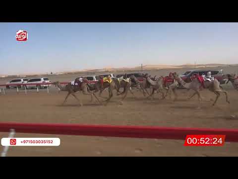  ش 19 (غاليه) لـ سعود سالم الخاطري 2:15 , شارة الصندوق 2026/03/28 فطامين الروضة  
