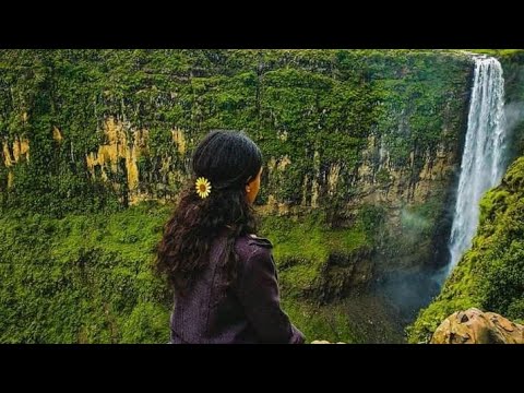 Tajuu Shurubee Dagalee jiruun si godha je'etiin hawwee si fedha New Oromo Music 2021🎵🎶🎼💓💕👍