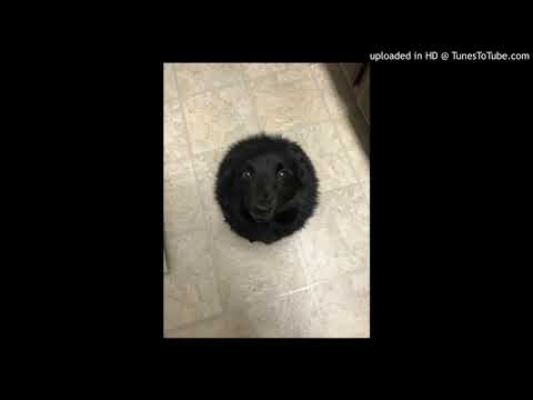 El Virtual - Bipolar