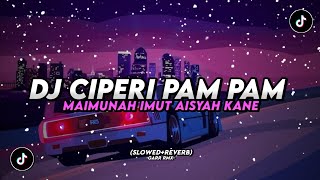 Download lagu DJ CIPERI PAM PAM MAIMUNAH IMUT AISYAH 🗿🤙 | SLOWED REVERB⚡️ mp3