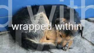 Jeff Buckley    -morning theft.