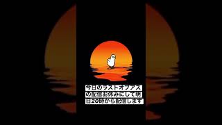 今日の配信お休みして明日20時からやりたいと思います。